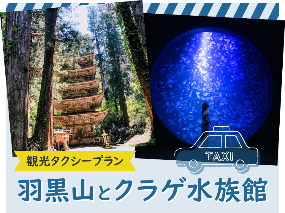 観光タクシープラン4時間コース：羽黒山とクラゲ水族館